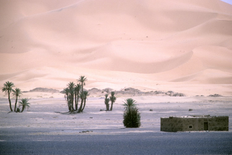 Dunes de Merzouga au sud de Erfoud