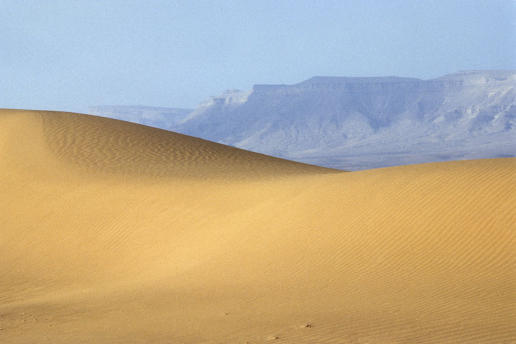 Dune de sable de Zagora