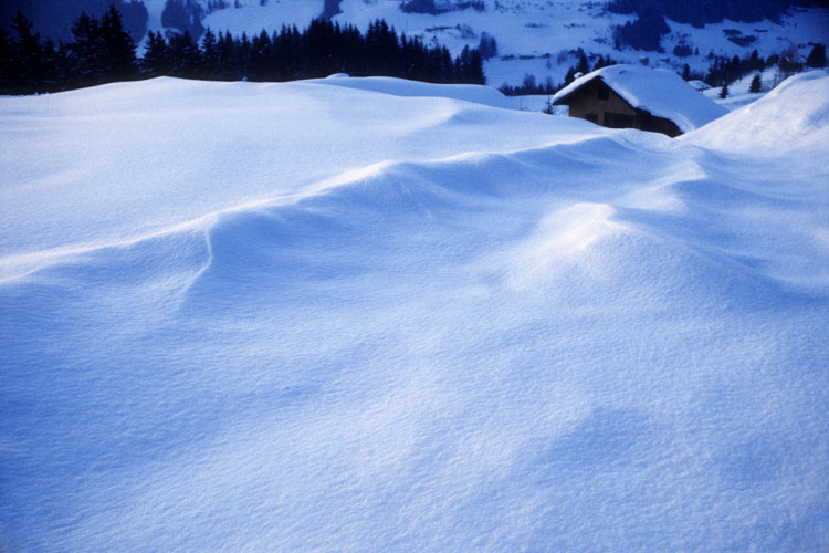 Champ de neige