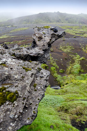 Formation rocheuse en corps d'oiseau, en Islande