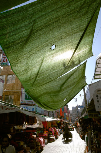 Maché populaire à Pusan